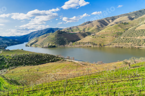 Preview: Douro wine valley