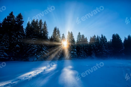 Preview: The light