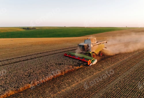 Preview: Illuminated by sunlight. Agricultural machine harvesting wheat