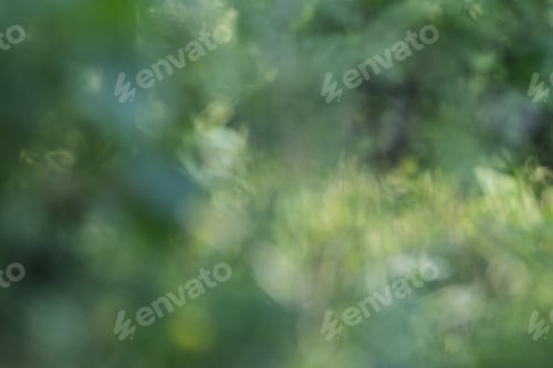 Abstract View of Greens in Nature, Soft Focus