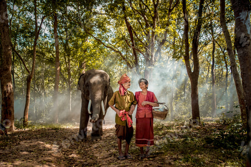 Preview: Elephant and senior couple in Thailand