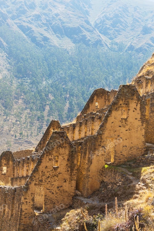 Preview: Inca ruins