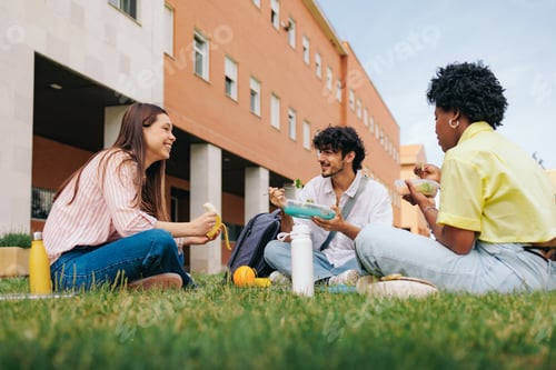 Preview: Diverse college students having lunch in university campus.