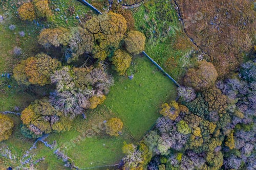 Preview: Overhead aerial view of countryside in North Wales