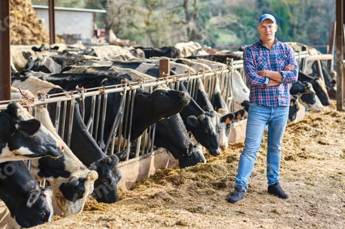 Preview: Portrait Of A Man On Livestock Ranches