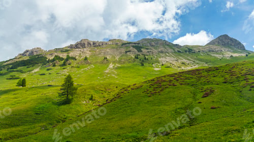 Preview: Landscape of Dolomites in Venegia valley at summer