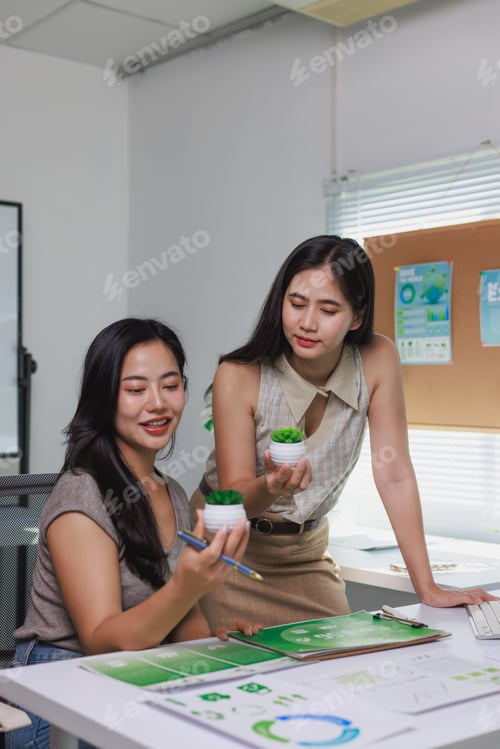 Preview: Businesswomen discussing sustainable development strategies in office