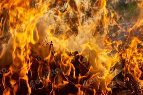 Preview: Flames of fire with smoke on a black background