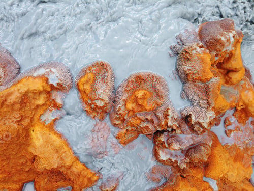 Preview: Crystals and minerals precipitating from residual gold mining leach waters