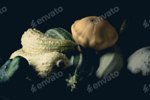 Preview: Young raw zucchini