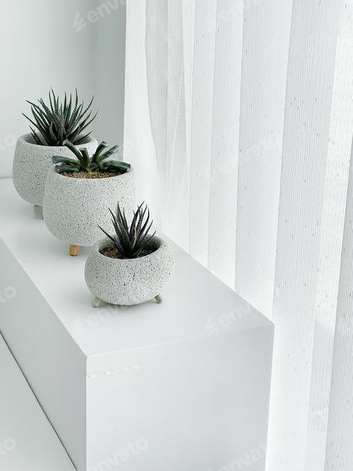 Preview: Houseplant at home. Different house plants on the floor