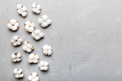 Preview: Autumn Floral Flat lay background composition. Dried white fluffy cotton flower branchwith