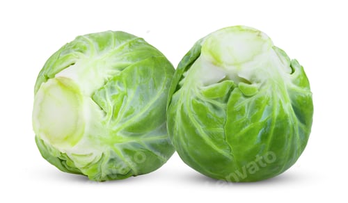 Preview: Fresh Green Brussels Sprouts on White Background