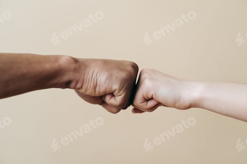 Preview: Young diverse couple hands gives fist bump, agree to bring the plan to life