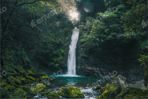 Preview: Beautiful view of a waterfall surrounded by plants and moss covered stone