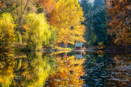 Preview: Autumn lake