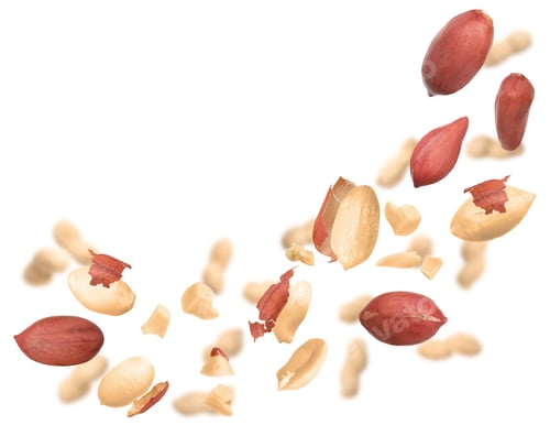Preview: Unpeeled peanuts in air on white background