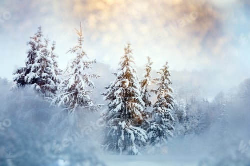 Preview: Majestic winter landscape with snowy fir trees. Winter postcard.