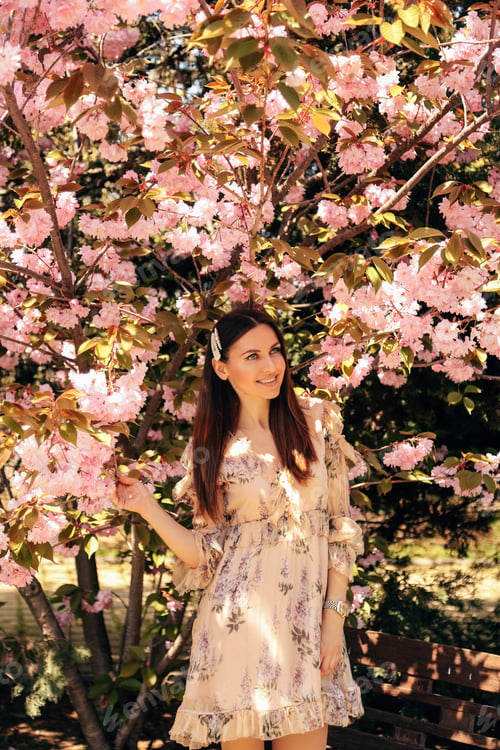 Preview: Fashion Photo Of Beautiful Woman With Dark Hair In Elegant Dress Posing Near Flowering Sakura Trees