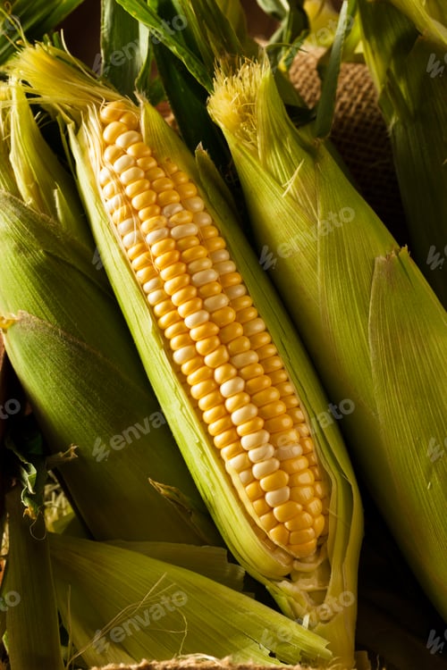 Preview: Raw Organic Yellow Seet Corn