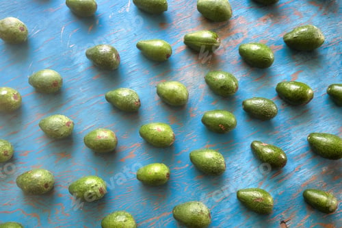 Preview: Avocados texture with blue vintage background
