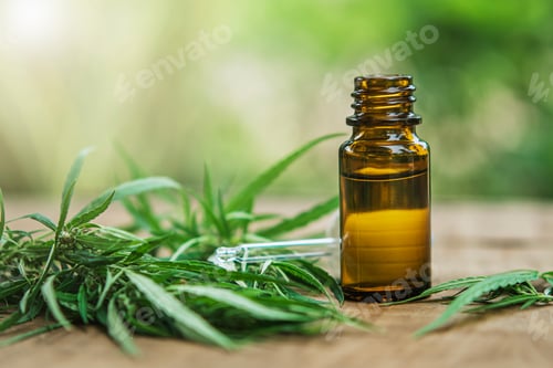 Preview: Cannabis herb and leaves with oil extracts in jars. medical concept