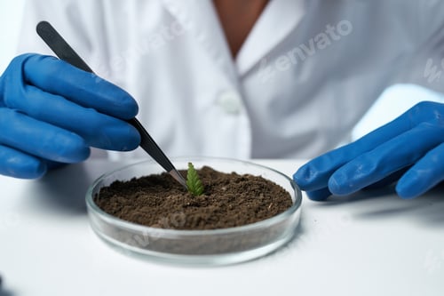 Preview: female laboratory assistant biologist soil research biotechnology
