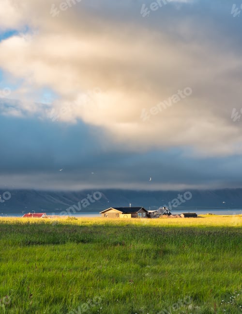 Preview: Icelandic wooden house glowing with sunlight on meadow and bird flying around in sunset on summer