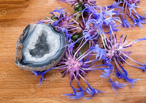 Preview: Centaurea montana and quartz