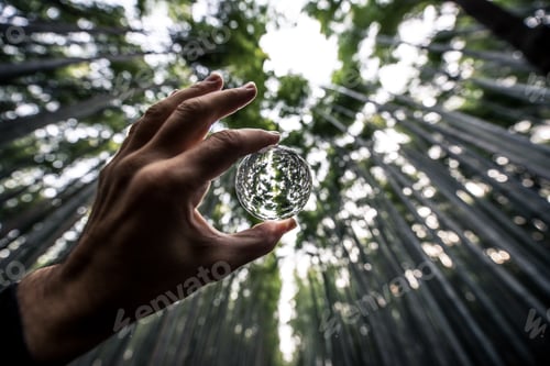 Preview: Bamboo forest in Kyoto countryside