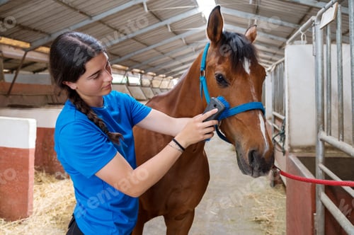 Preview: Young ethnic woman brushing horse in barn