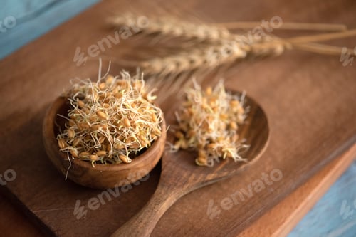 Preview: Healthy food ' fresh wheat germ