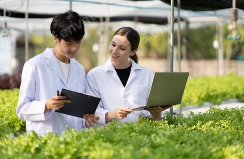 Preview: Hydroponics farm concept, Scientist team testing and collect data from lettuce organic hydroponic. F