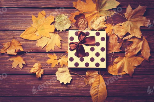 Preview: Gift and leafs