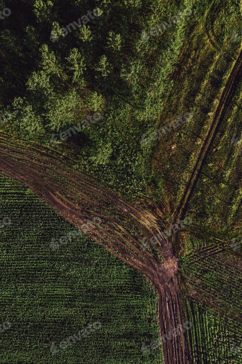 Preview: Aerial view of dirt road in countryside