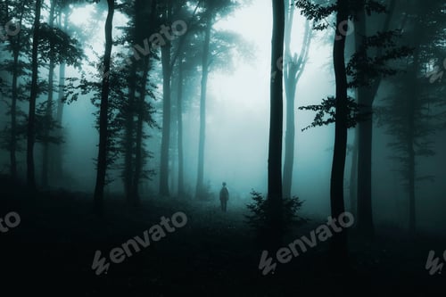 Preview: Lost in the woods