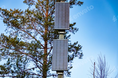 Preview: Solar panels for independent future-oriented electricity mounted on a wooden pole