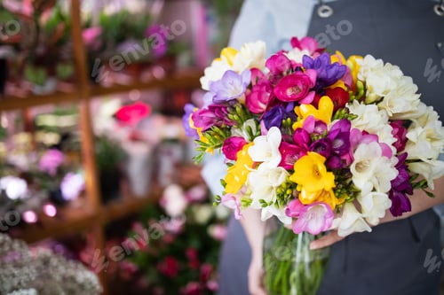 Preview: Huge bouquet of spring freesia flowers