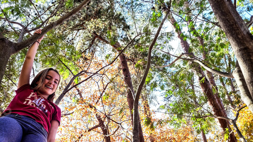 Preview: In a tree without the house.