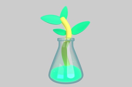 Preview: A plant growing in a Erlenmeyer flask.