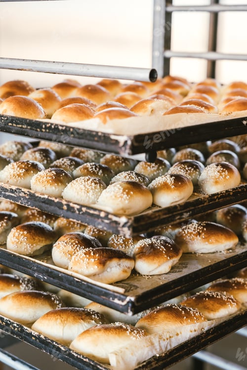 Preview: seeded buns on an industrial tray fresh from the oven in an Italian bakery.