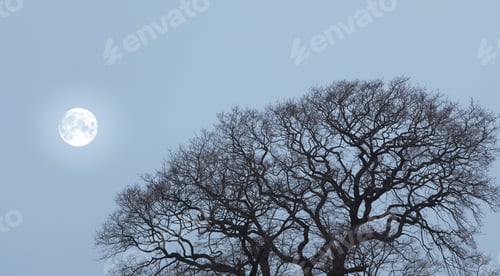 Preview: Wintertime in Denmark. Denmark in winter.