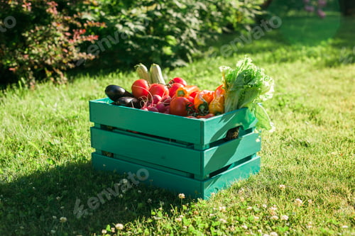 Preview: Wooden box filled fresh vegetables in garden - harvesting and gardening