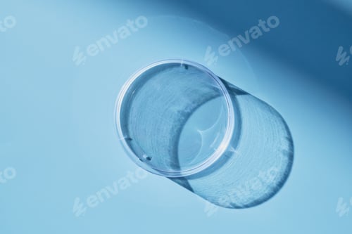 Preview: Empty clear petri dish resting on light blue surface with sunlit shadow