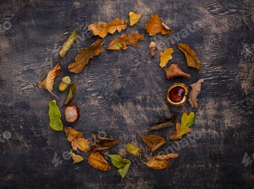 Preview: Autumn background with dry leaves.
