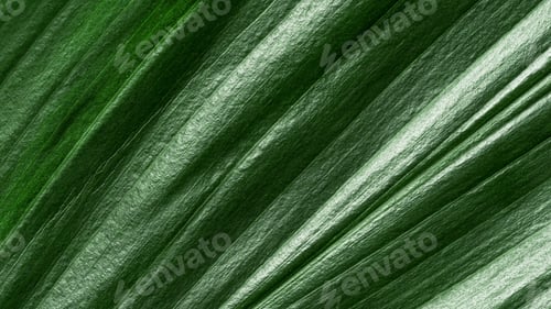 Preview: Extreme close up view of tropical leaf, background