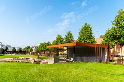 Green Urban Park on a Sunny Day