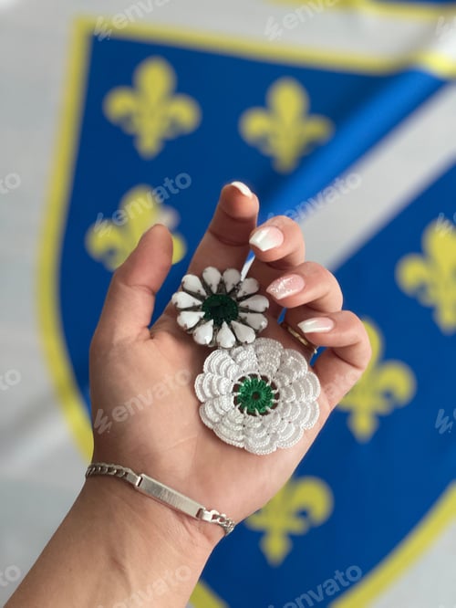 Preview: Closeup of a female hand holding Srebrenica Flowers symbolizing the Srebrenica genocide