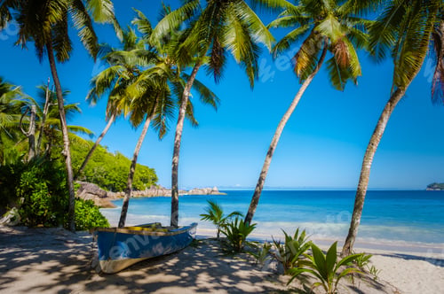 Preview: Mahe Seychelles, tropical beach with palm trees and a blue ocean Anse Takamaka beach Mahe Seychelles