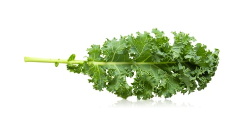 Preview: fresh kale isolated on white background